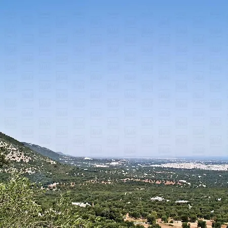 Helloapulia Trulli Elleysi *